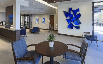 Wellbridge of Novi: A Comprehensive Review