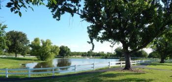 Franciscan Villa: Comprehensive Review