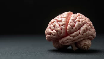 Parkinson’s Disease Symptoms: What Actually Happens in Your Brain