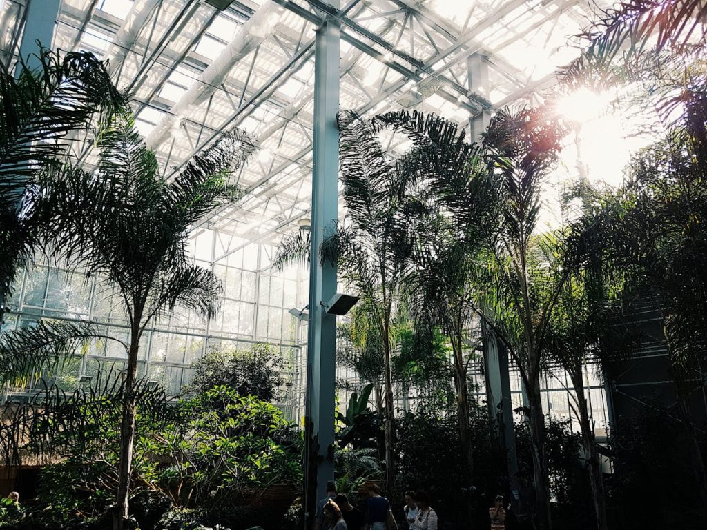 botanical garden