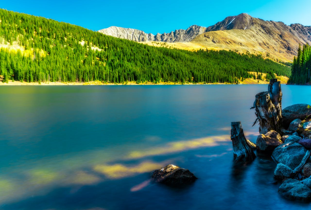 denver co senior placement agent