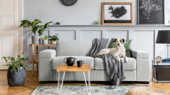 Creating a Comfortable Living Space for Seniors: Tips and Tricks